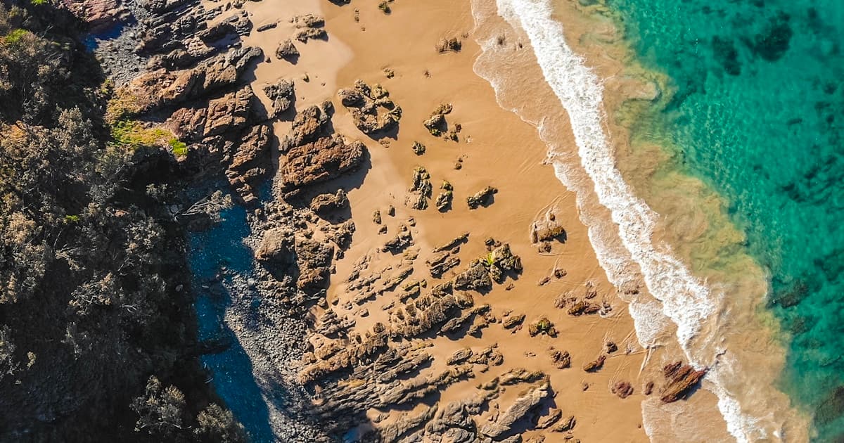 Charlie Ward, QAnon, and the Army of Believers Nobody in Washington Wants to Talk About