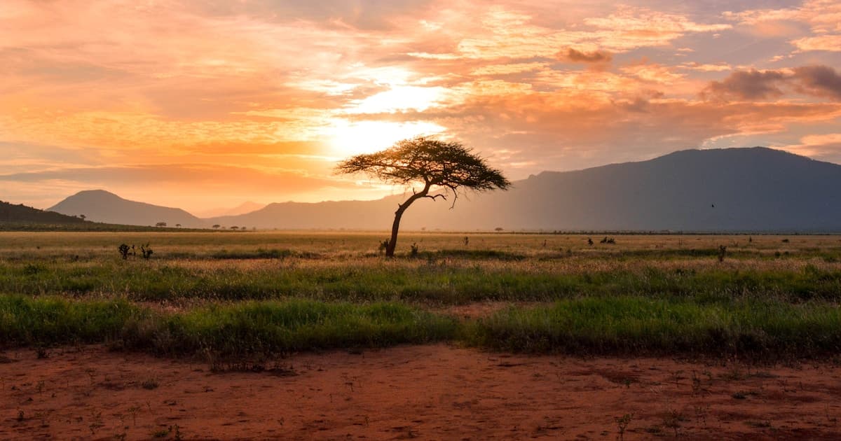 Democrats' War Powers Theater Reveals Everything About Their Iran Strategy