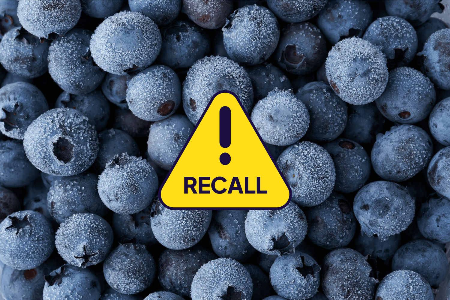 Frozen Blueberries and the Regulatory Failure Nobody Wants to Talk About