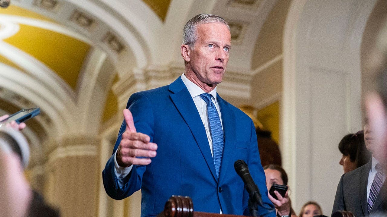Thune's Warning Is Real: Democrats Will Own Every Illegal Vote