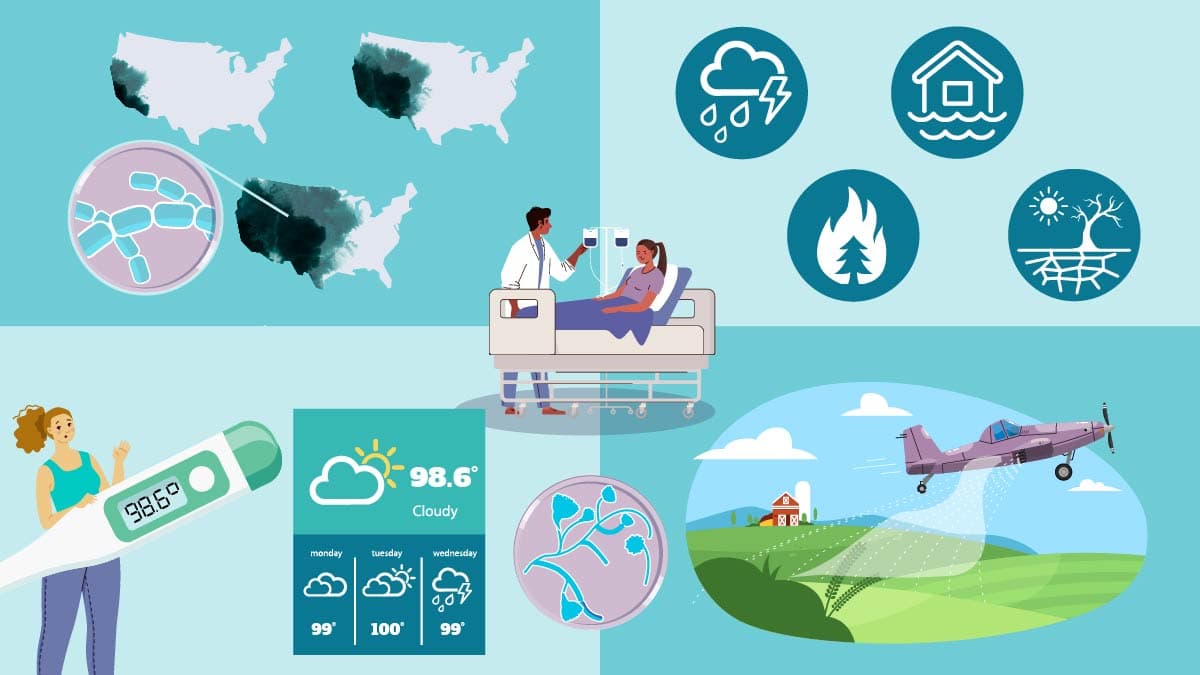 The Fungus Scare and the Climate Alarmism Machine