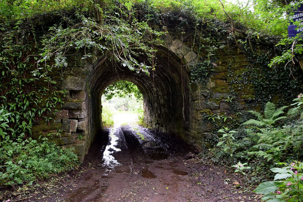 Washington's 'Infrastructure' Bill Has More Pork Than a Texas BBQ Pit