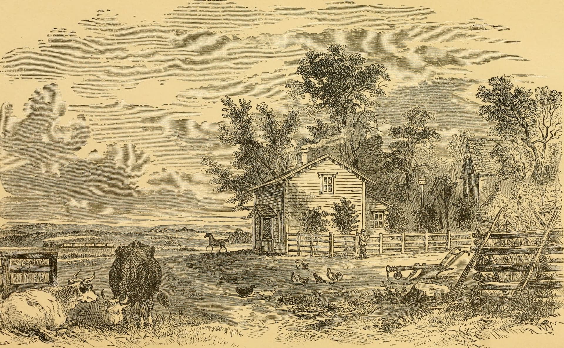 The Farm Bill's Hidden Tax on Every Family in America