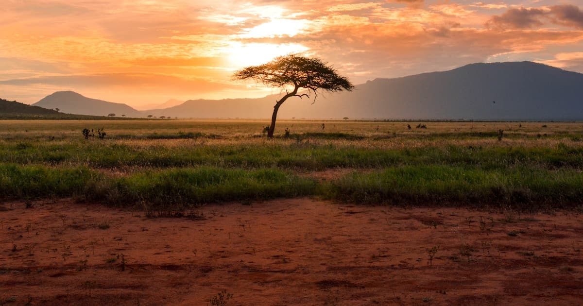 The Human Shield: What Iran's Retaliation Means for 40,000 Americans Stationed in the Gulf