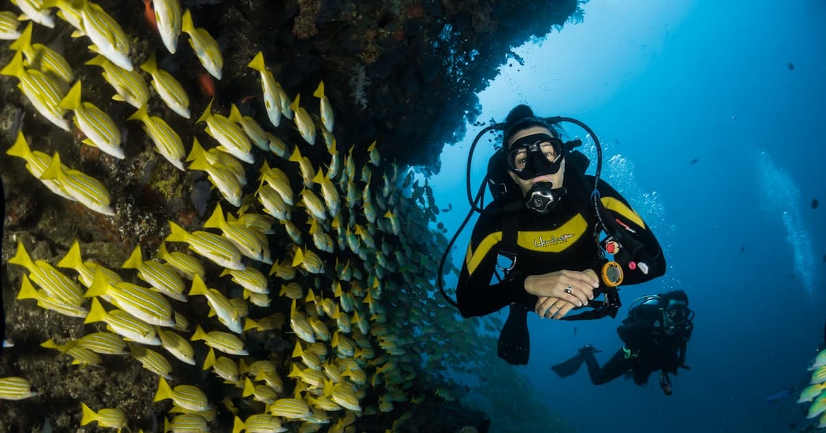 Kosovo's Presidential Deadlock: State Department Sources Point to Surprise Outside Candidate